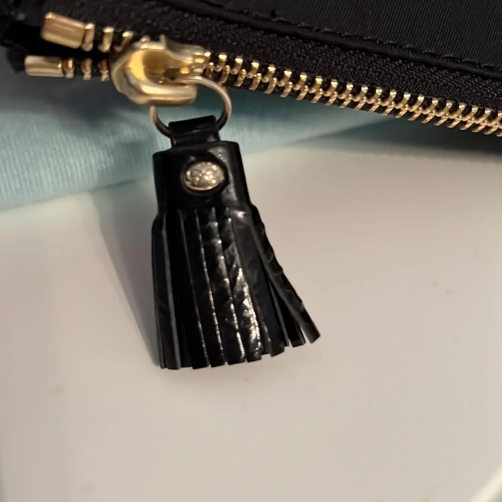 Anya Hindmarch Zip Pouch Clutch